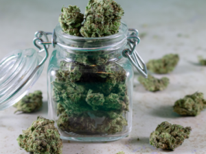 keep weed fresh longer